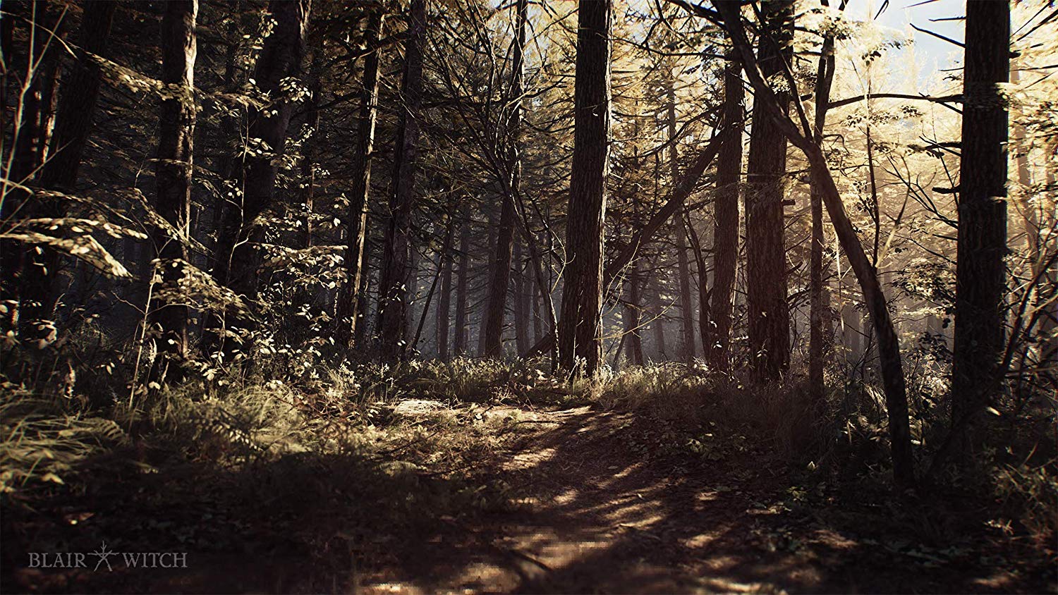 Blair Witch PS4 - Image 4