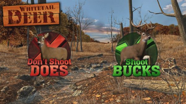 Big Buck Hunter Arcade Nintendo Switch - Image 3