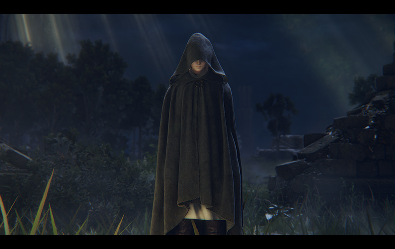 Elden Ring - PlayStation 4 - Image 5