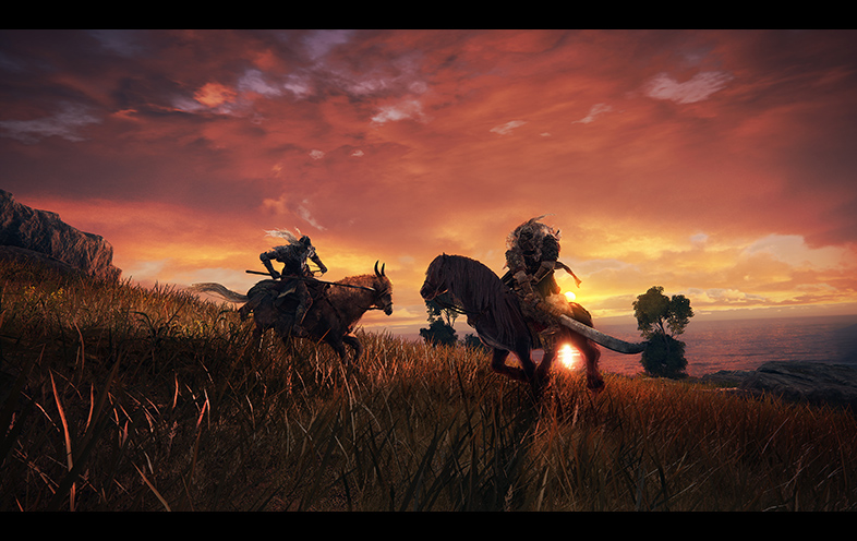 Elden Ring - PlayStation 4 - Image 2