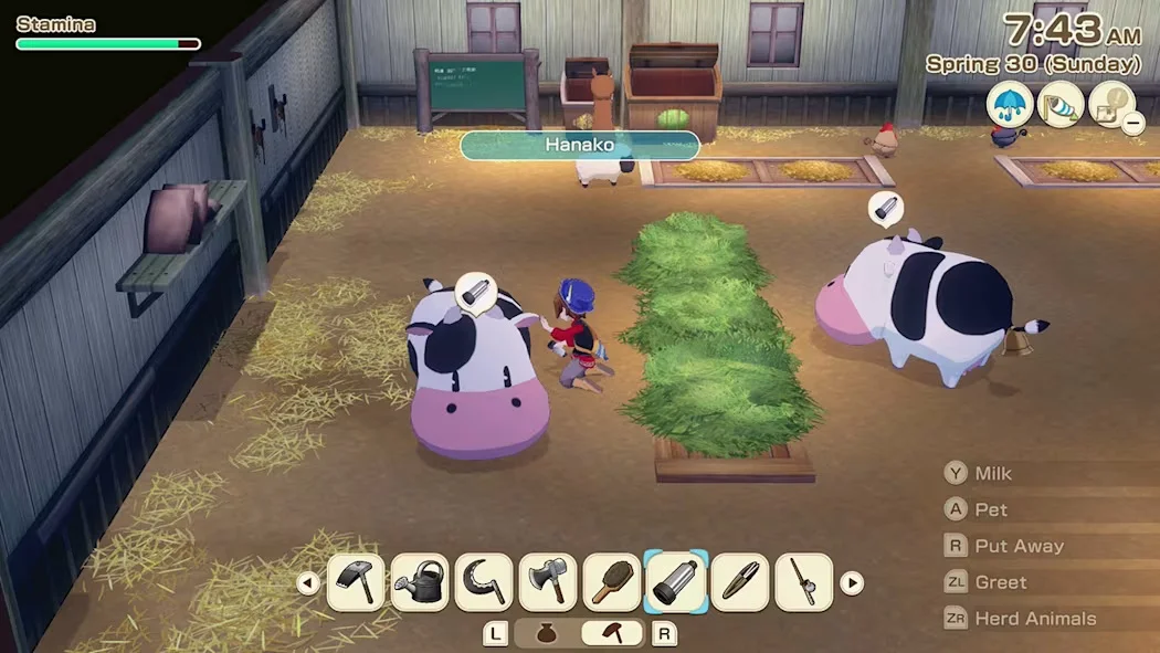 STORY OF SEASONS: Grand Bazaar - Nintendo Switch - Image 4