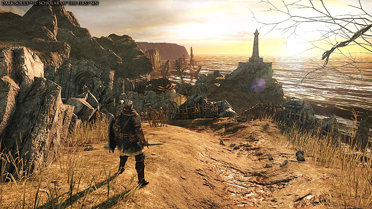 Dark Souls Trilogy PS4 - Image 3